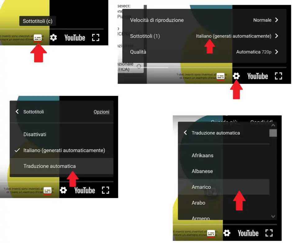 YOU CAN ACTIVATE SUBTITLES FOR YOUR LANGUAGE - VOUS POUVEZ ACTIVER LES SOUS-TITRES POUR VOTRE LANGUE